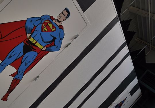 Image 2 du projet Arbres Stylises - Scénographie Intérieure